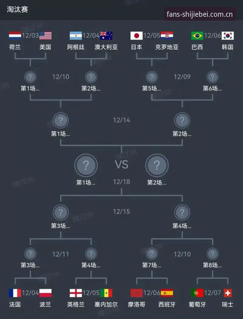 世界杯球队排名安装失败实用指南：解决赛程数据更新不及时的必备知识